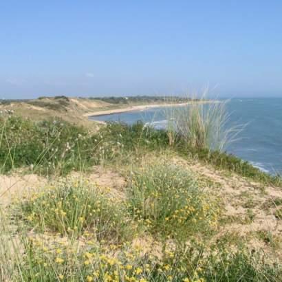 dune l'océan atlantique à seulement 300 mètres du camping les gros joncs nouvelle aquitaine