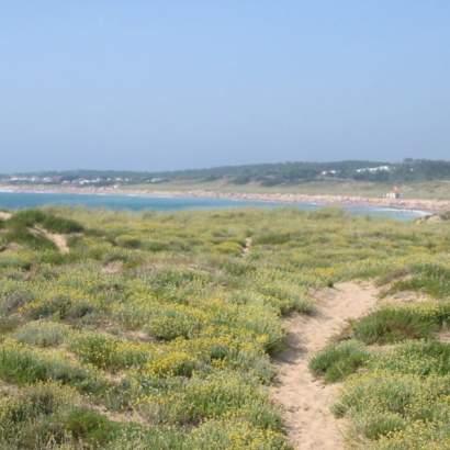 accès dune océan de oceaan nouvelle aquitaine