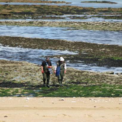 la pêche à pied sur l'ile d'oléron de visserij nouvelle aquitaine