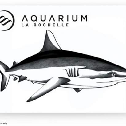 aquarium de la rochelle others services nouvelle aquitaine