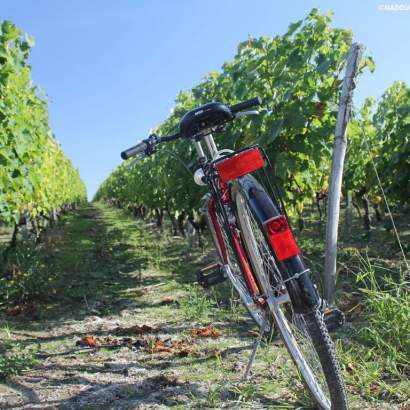 vélos vignes (1) les autres services disponibles au camping nouvelle aquitaine