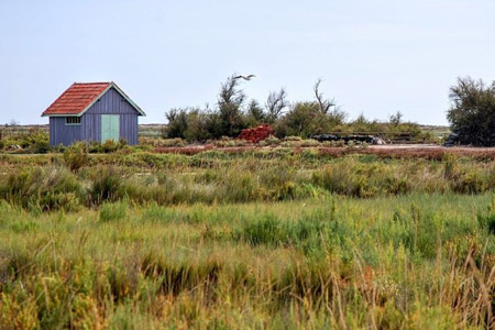 La route des huîtres à l'île d'Oléron, une spécialité locale !