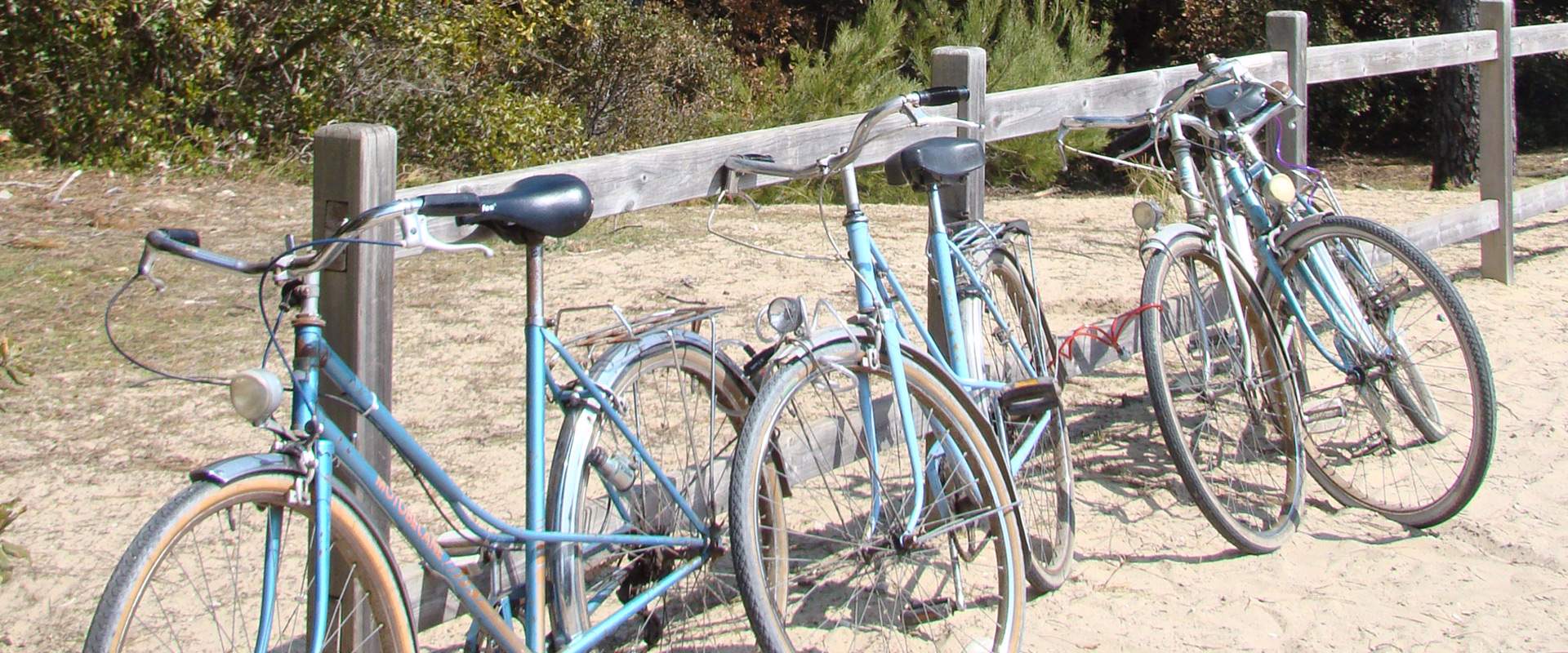 Location de Vélos sur l'île d'Oléron
